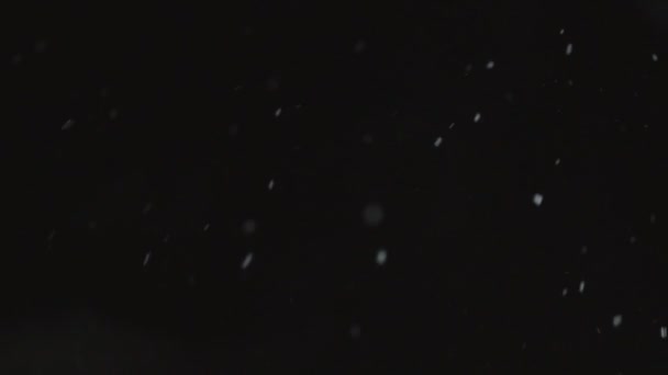 Siyah arkaplana düşen kar — Stok video