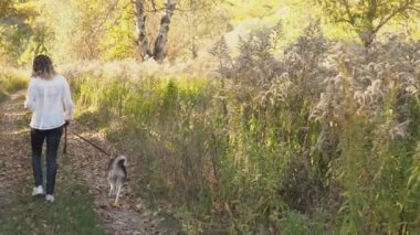 bir köpek ırkı Husky kızla