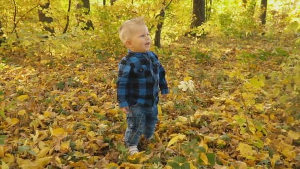 petit garçon dans la forêt d'automne