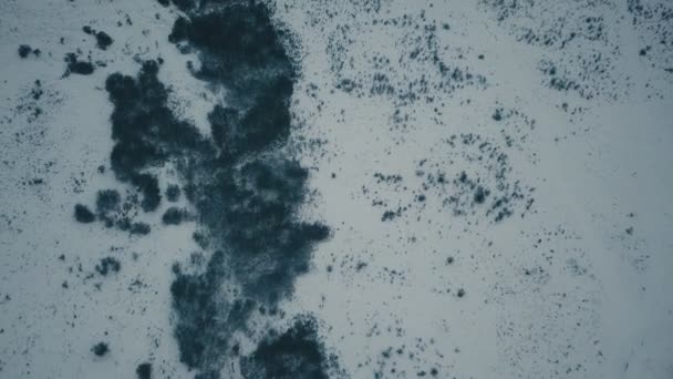 Clairière couverte de neige — Video