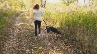 bir köpek ırkı Husky kızla