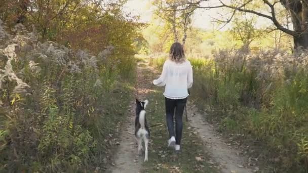 Chica con un perro crianza husky — Vídeos de Stock