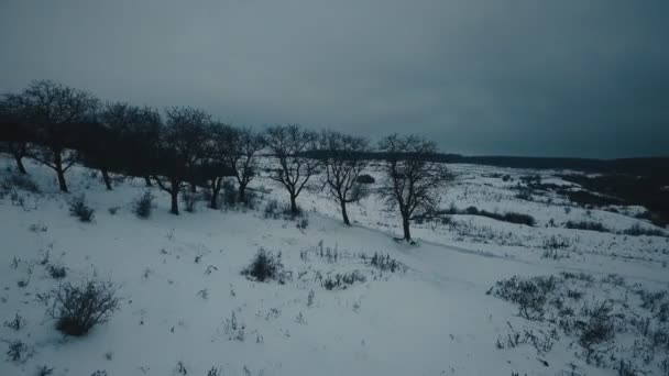 被雪覆盖的林间空地 — 图库视频影像