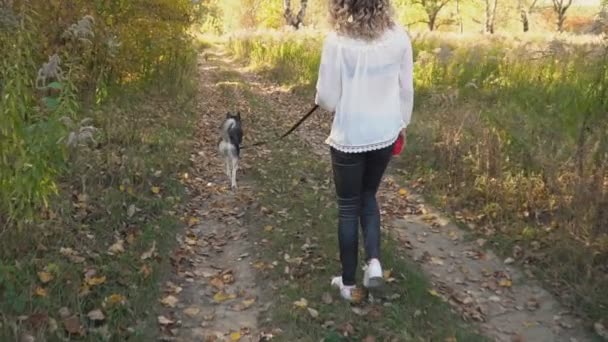 Chica con un perro crianza husky — Vídeos de Stock