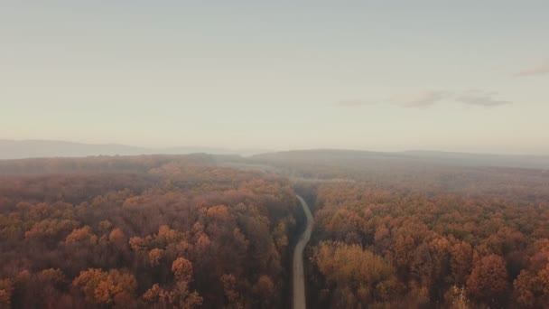 Дорога в осінньому лісі — стокове відео