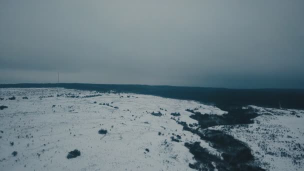 Prado Coberto Neve Com Vista Para Pássaros — Vídeo de Stock