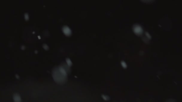 Siyah Bir Zemin Üzerine Düşen Kar Aşağı Dört Kez Yavaşladı — Stok video