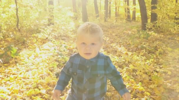 petit garçon dans la forêt d'automne