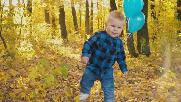 petit garçon dans la forêt d'automne