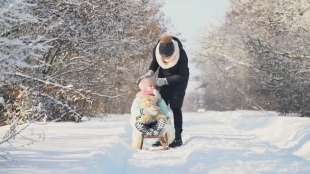 妈妈把女儿卷在雪橇上 — 图库视频影像