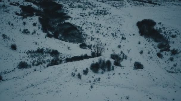 雪覆われた空き地 — ストック動画