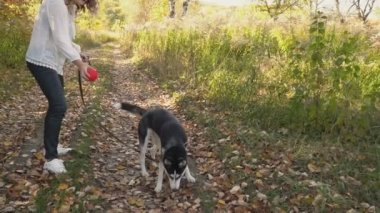 bir köpek ırkı Husky kızla