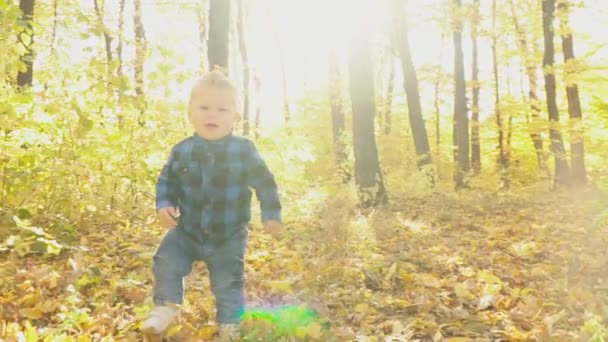 Niño pequeño en el bosque de otoño — Vídeos de Stock