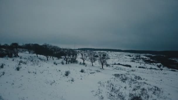 Neve coberta de clareira — Vídeo de Stock