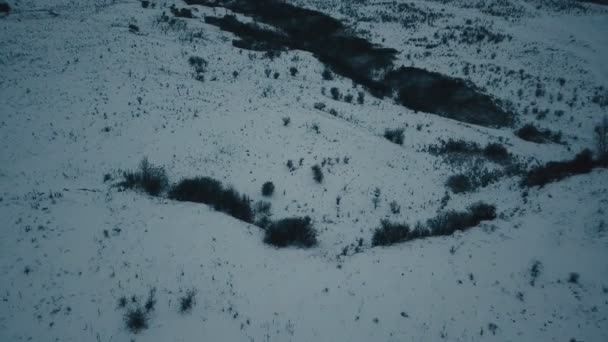 Prairie Couverte Neige Avec Vue Sur Les Oiseaux — Video