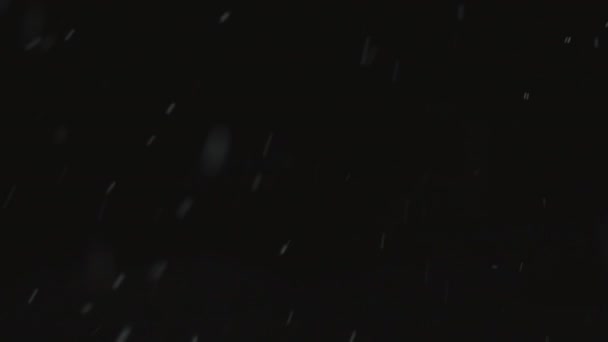 Eső hó fekete háttér — Stock videók