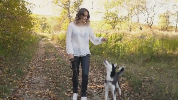 Fille Avec Chien Race Husky Dans Nature — Video