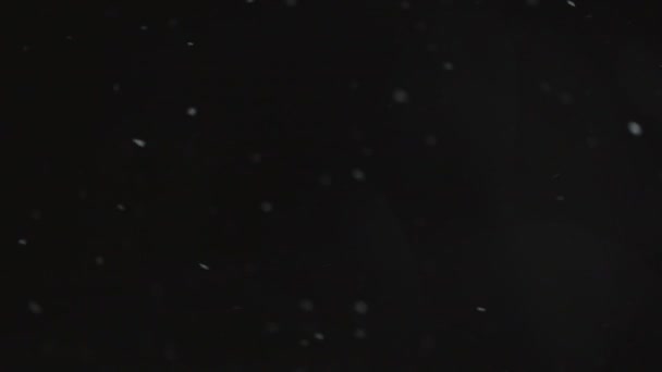 chute de neige sur fond noir