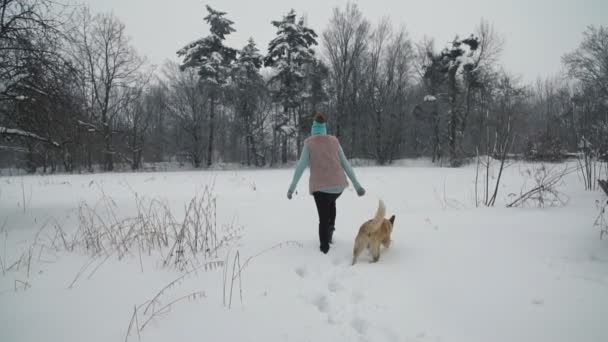 Vrouw met een hond wandelen — Stockvideo