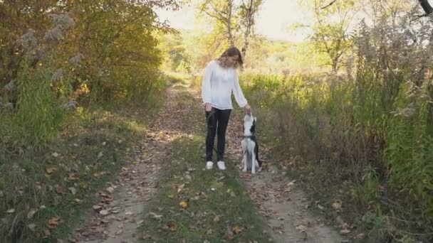 Fille avec une race de chien Husky — Video