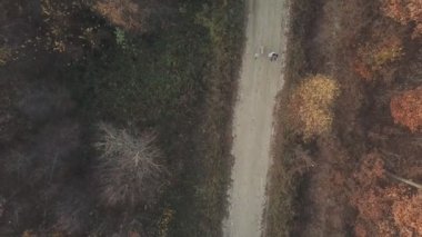 kuş-göz orman toprak yol