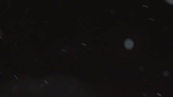 Neve caduta su sfondo nero — Video Stock