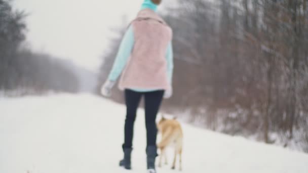 강아지와 함께 산책 하는 여자 — 비디오