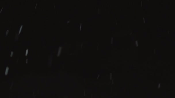 Spadający śnieg na czarnym tle — Wideo stockowe