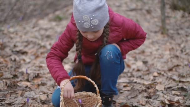 fille recueille des gouttes de neige 