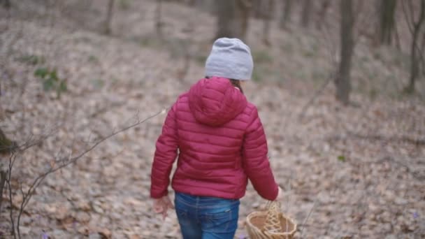 Girl collects snowdrops — Stock Video
