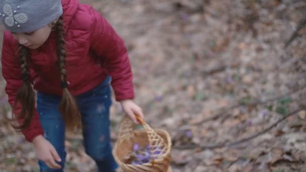 fille recueille des gouttes de neige 