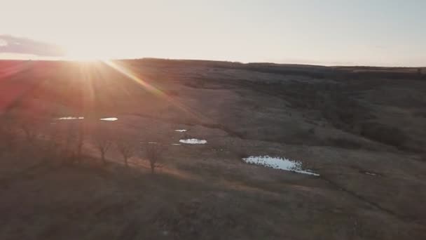 Tramonto al pascolo all'inizio della primavera — Video Stock