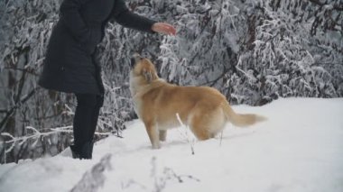 kadın ile köpek yürüyüş