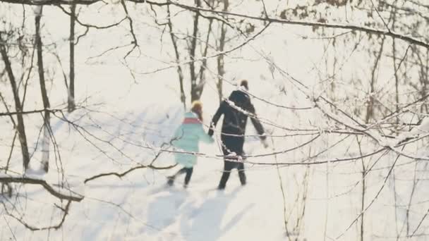 Mamma og datteren går i snøen. – stockvideo