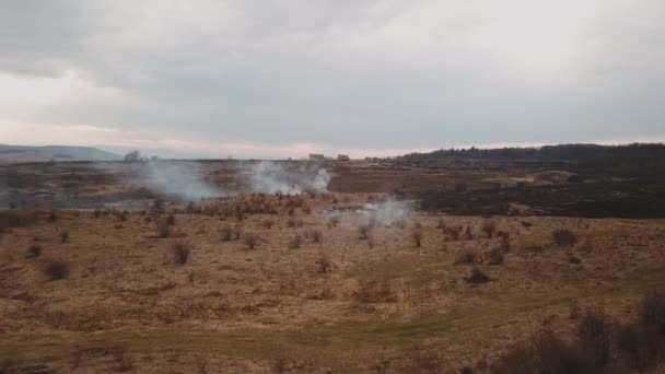 Çim yanan duman — Stok video