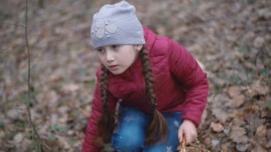 Kız kardelen toplar