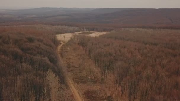 Estrada de terra na floresta — Vídeo de Stock