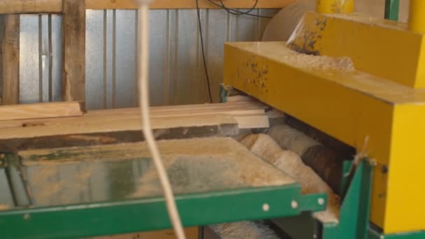 Cortar tablas de madera — Vídeo de stock