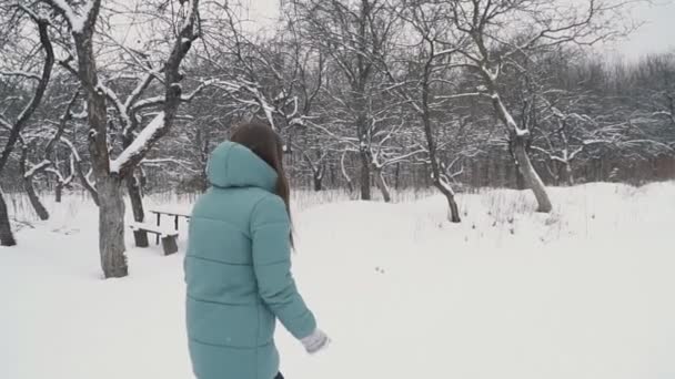 Девушка бежит через снежный парк — стоковое видео
