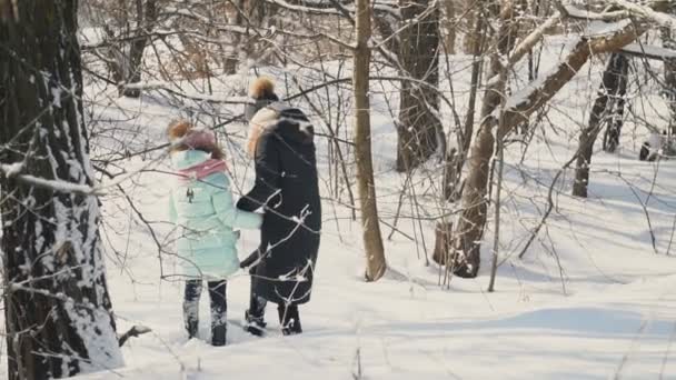 Mutter und Tochter spazieren im Schnee — Stockvideo