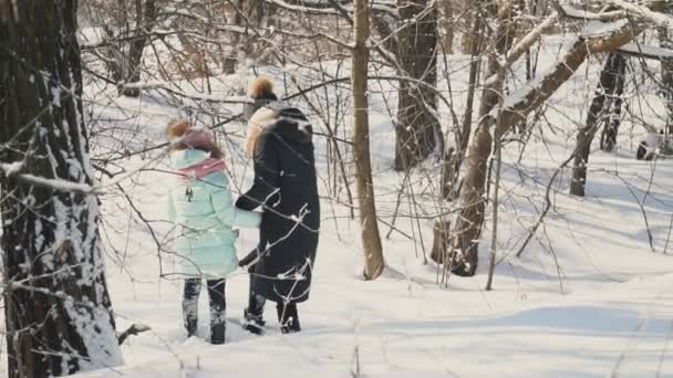 ママと彼女の娘は雪の中を歩いています — ストック動画