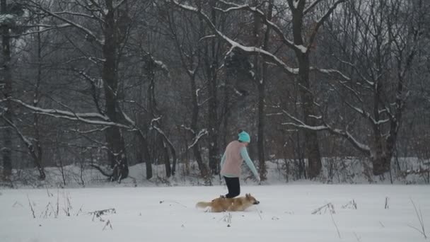 Женщина гуляет с собакой — стоковое видео