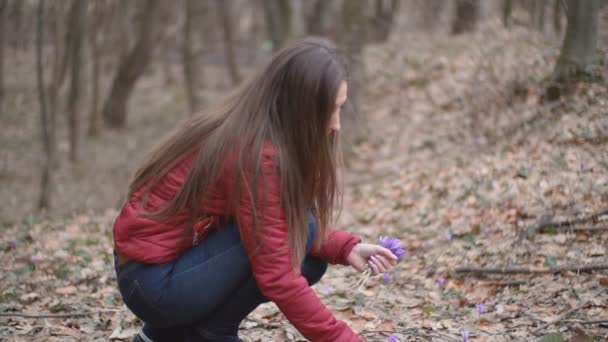 Girl collects snow — Stock Video