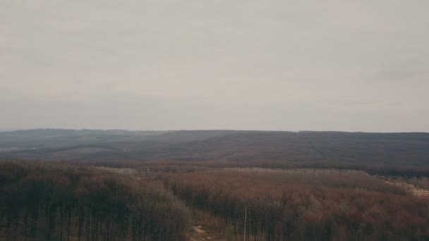 Camino de tierra en el bosque — Vídeo de stock