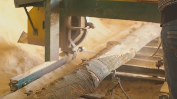 Řezání dřevěných desek na deskách — Stock video