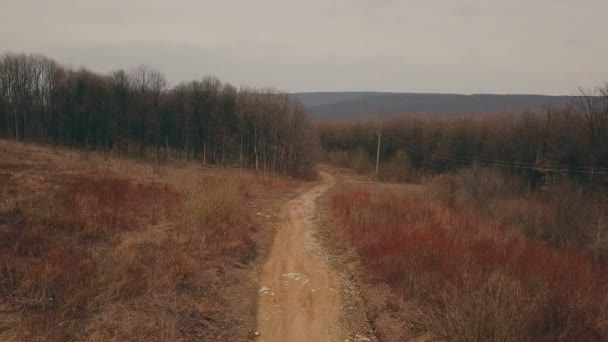 Földút az erdőben — Stock videók