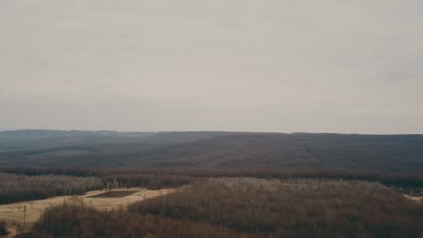 Брудна дорога в лісі — стокове відео