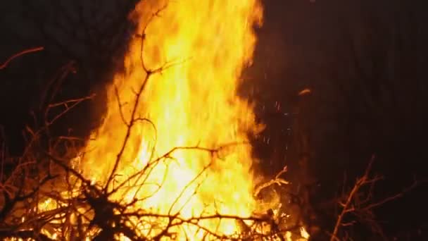 Égő tűz egy sötét háttér — Stock videók