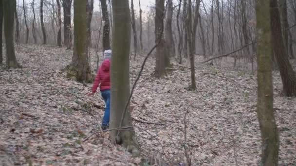 Girl collects snowdrops — Stock Video