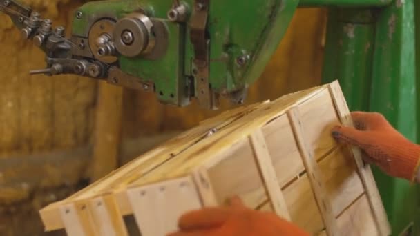 Tableros de clavos en una máquina para la producción de cajas de madera — Vídeo de stock